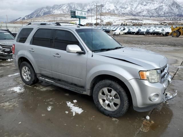 2010 Ford Escape Limited