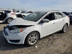 Ford Focus SE salvage cars for sale: 2016 Ford Focus SE