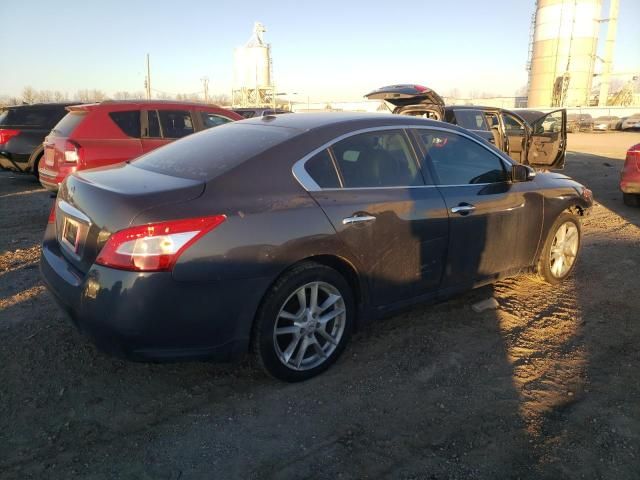 2010 Nissan Maxima S