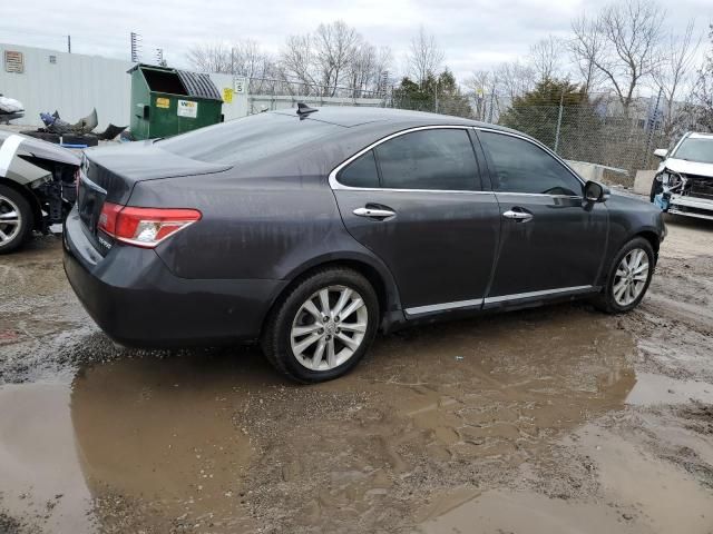 2010 Lexus ES 350