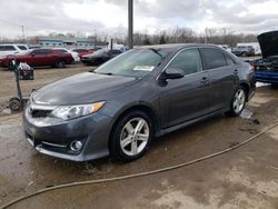 Salvage cars for sale at Louisville, KY auction: 2013 Toyota Camry L