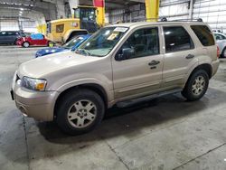 Ford Escape XLT salvage cars for sale: 2007 Ford Escape XLT