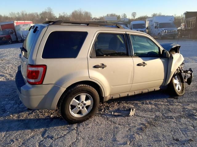 2009 Ford Escape XLT