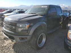 Salvage trucks for sale at Magna, UT auction: 2011 Ford F150 SVT Raptor