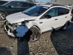 Salvage cars for sale from Copart Milwaukee, WI: 2013 Ford Escape SE