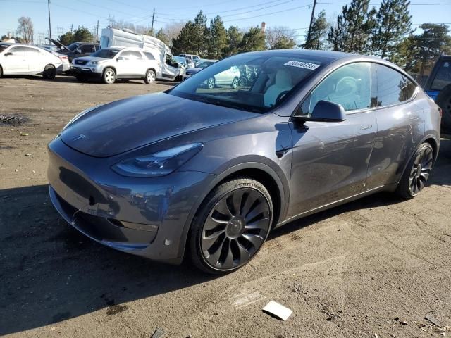 2023 Tesla Model Y