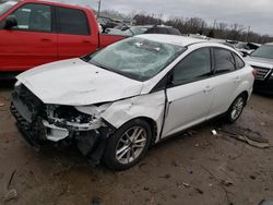 Ford Focus SE salvage cars for sale: 2016 Ford Focus SE