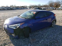 Salvage cars for sale at Earlington, KY auction: 2013 Hyundai Veloster