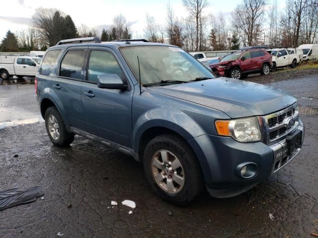 2010 Ford Escape Limited