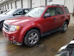 Salvage cars for sale at Louisville, KY auction: 2012 Ford Escape XLT