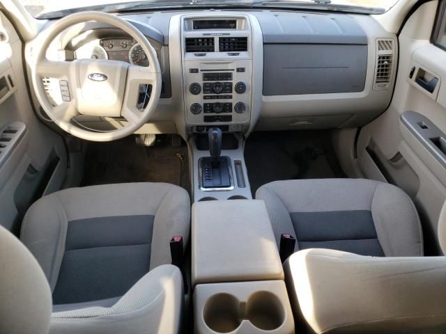 2008 Ford Escape XLT