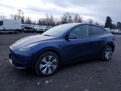 Salvage cars for sale from Copart Portland, OR: 2023 Tesla Model Y
