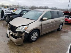 Salvage cars for sale at Louisville, KY auction: 2006 Honda Odyssey EXL