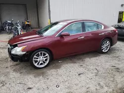 Salvage cars for sale from Copart Seaford, DE: 2010 Nissan Maxima S