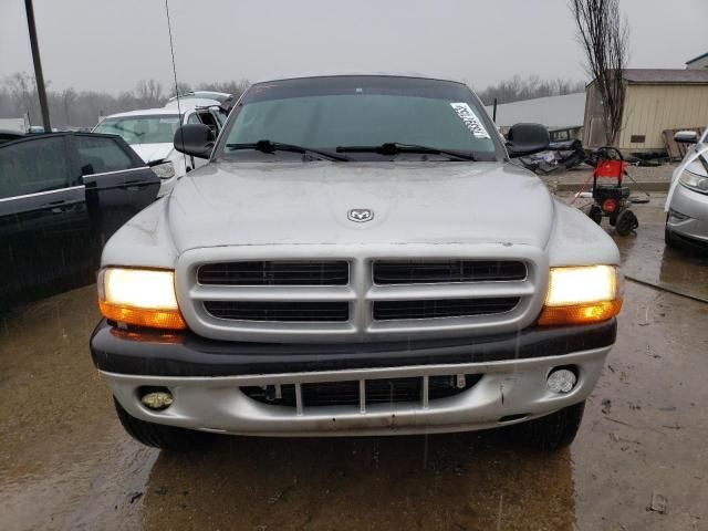 2001 Dodge Dakota Quattro