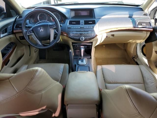 2011 Honda Accord EXL