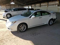 Salvage cars for sale at Phoenix, AZ auction: 2011 Lexus ES 350