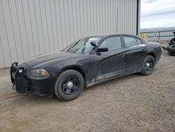 Dodge Charger salvage cars for sale: 2011 Dodge Charger Police