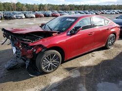 Salvage cars for sale from Copart Harleyville, SC: 2023 Lexus ES 350 Base