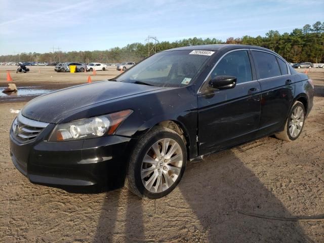 2011 Honda Accord EXL