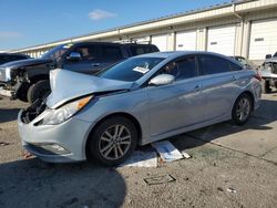 Salvage cars for sale from Copart Louisville, KY: 2014 Hyundai Sonata SE