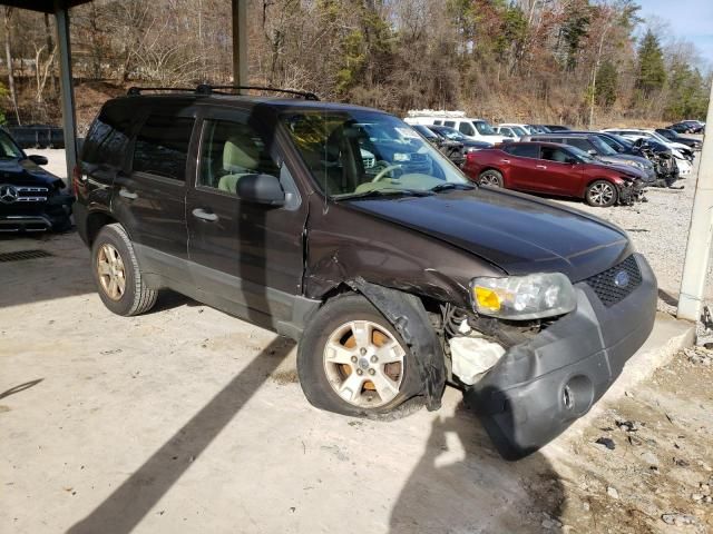 2006 Ford Escape XLT