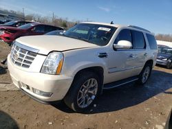 Cadillac salvage cars for sale: 2013 Cadillac Escalade Hybrid