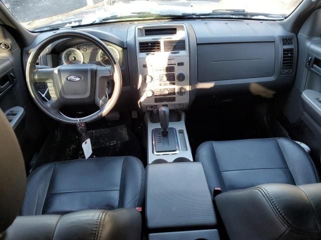 2009 Ford Escape XLT