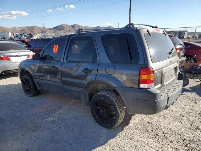 2005 Ford Escape HEV