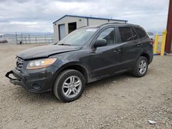 Salvage cars for sale at Helena, MT auction: 2010 Hyundai Santa FE GLS