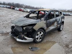 Ford Escape Vehiculos salvage en venta: 2013 Ford Escape SE