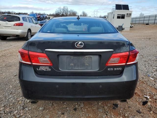 2010 Lexus ES 350