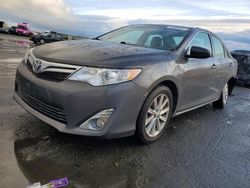 Salvage cars for sale from Copart Martinez, CA: 2014 Toyota Camry L