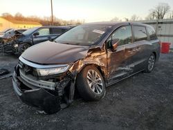 Salvage cars for sale from Copart York Haven, PA: 2021 Honda Odyssey EXL