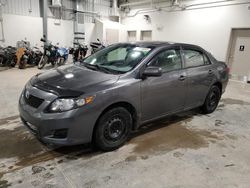 Salvage cars for sale from Copart Elmsdale, NS: 2010 Toyota Corolla Base