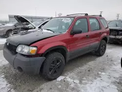 Salvage cars for sale from Copart Milwaukee, WI: 2005 Ford Escape XLS