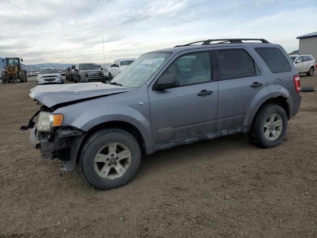 2008 Ford Escape XLT