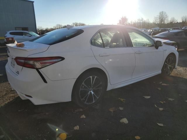 2019 Toyota Camry Hybrid