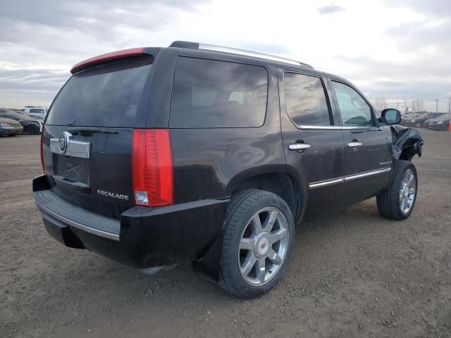 2009 Cadillac Escalade Luxury