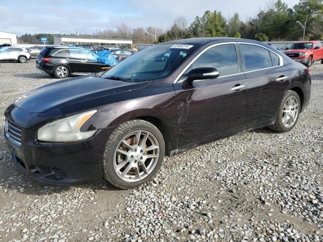 2010 Nissan Maxima S