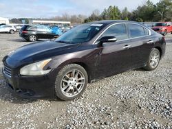 Nissan Maxima salvage cars for sale: 2010 Nissan Maxima S