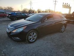 Salvage cars for sale at Columbus, OH auction: 2013 Hyundai Sonata SE