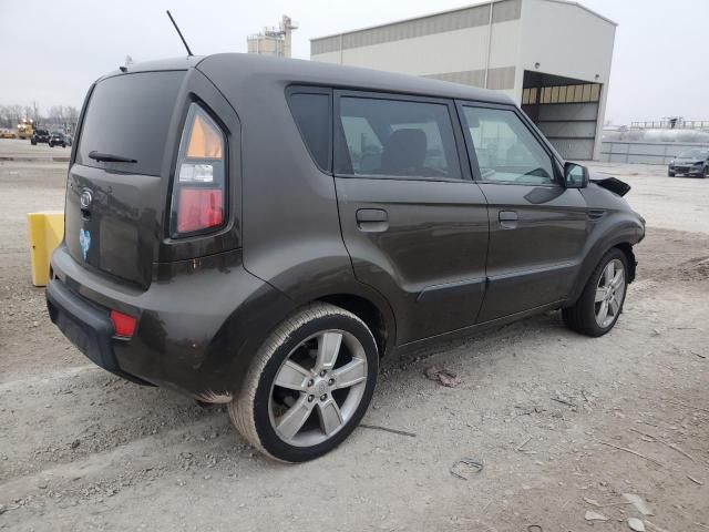 2010 KIA Soul +