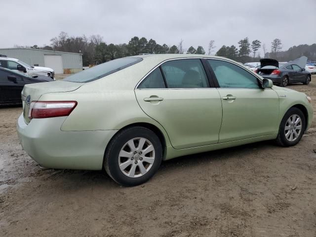 2009 Toyota Camry Hybrid