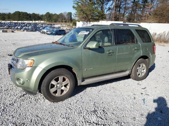 2010 Ford Escape Hybrid