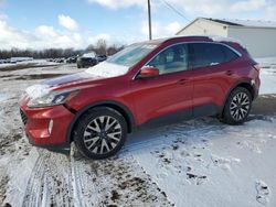 Salvage cars for sale from Copart Portland, MI: 2020 Ford Escape SEL