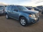 2012 Ford Escape XLS