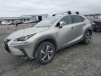 2019 Lexus NX 300 Base