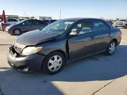 Salvage cars for sale at Grand Prairie, TX auction: 2009 Toyota Corolla Base