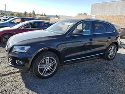 Audi salvage cars for sale: 2014 Audi Q5 TDI Premium Plus